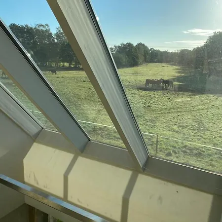 Casa vacanze Artlandscheune 1719 Menslage