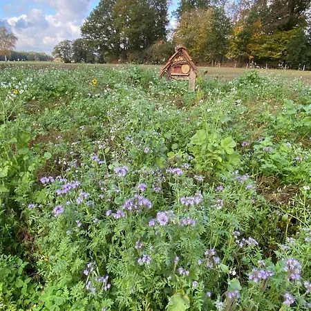 Artlandscheune 1719 * Menslage