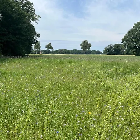 Hébergement de vacances Artlandscheune 1719