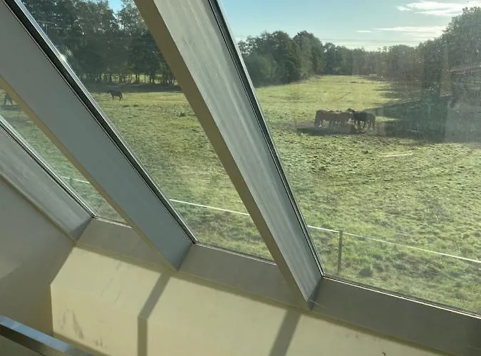 Дом отдыха Artlandscheune 1719 Menslage