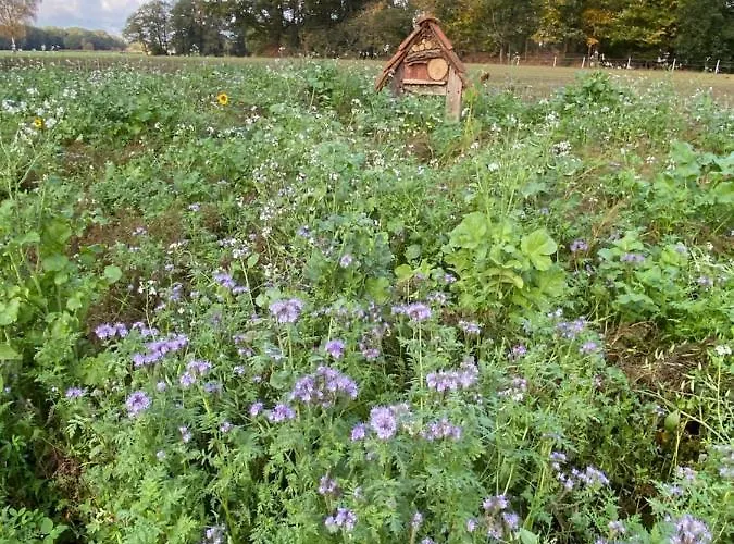 Artlandscheune 1719 * Menslage